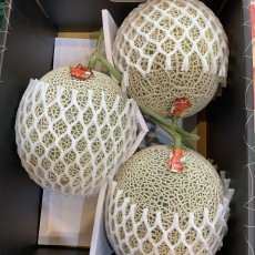 세론이 머스크 메론 맛보장