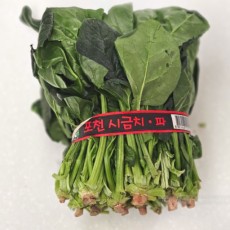 시금치 