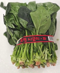 시금치 
