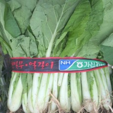 얼갈이  1단 국내산