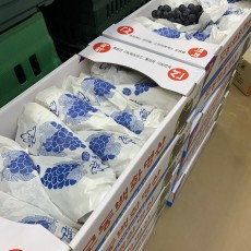 영동 캠벨포도 3kg 1박스 ★오늘의행사★