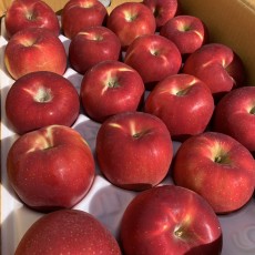 경북 청송 부사 사과 6개 