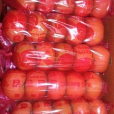 문산 단감 행사상품!! 5개 왕왕사이즈