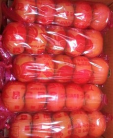 문산 단감 행사상품!! 5개 왕왕사이즈