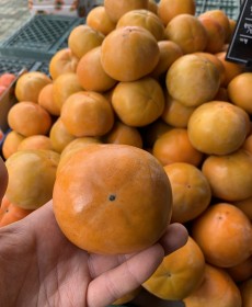 진주단감 7개 사이즈 : 왕특