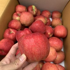 본격! 홍로사과 6개 (국내산)