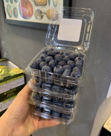 수입블루베리 125g 6팩 18mm사이즈 행사상품