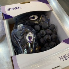 국산 거봉 2kg 3송이