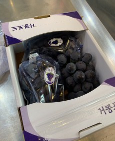 국산 거봉 2kg 3송이