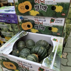미니밤호박 8개 