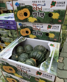 미니밤호박 8개 