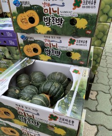미니 밤호박 3개 