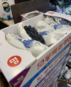 상주 하우스 포도 3kg 1박스