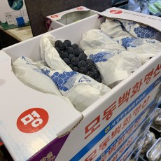 상주 하우스 포도 3kg 1박스