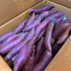국내산  베니지민 밤고구마 900g 이상