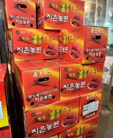 베니지민 고구마 1kg 긴상(황금)