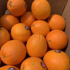 고당도 오렌지 맛보장 !! 6개