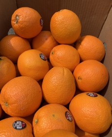 고당도 오렌지 맛보장 !! 6개