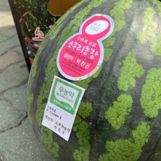 음성 금왕 수박 4kg 반통입니다.