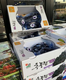 국산 거봉 2kg 3송이