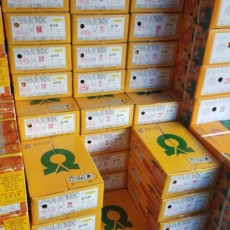 ★맛보장★ 귤뜨레 다우링감귤 1박스 S