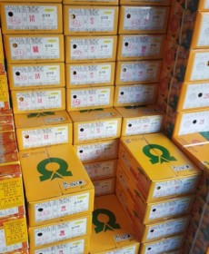 ★맛보장★ 귤뜨레 다우링감귤 1박스 S