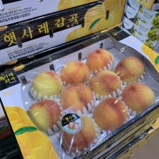 천중도 햇사레 복숭아 9~10수 4kg
