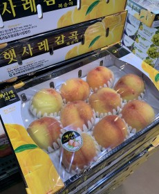 천중도 햇사레 복숭아 9~10수 4kg
