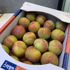 자두 주희 세콤달콤 9~10개 1.3kg