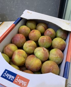 자두 주희 세콤달콤 9~10개 1.3kg