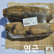 국산 햇연근