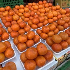 청도 잘익은연시 7~8개 바로드셔도됩니다.