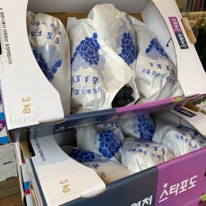 맛보장 머루 포도 3kg 4~5송이