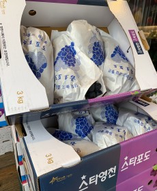 맛보장 머루 포도 3kg 4~5송이