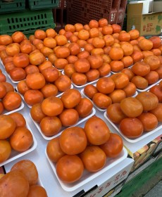 청도 잘익은연시 7~8개 바로드셔도됩니다.