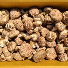 화곡성 “백화” 여주가을표고 1kg