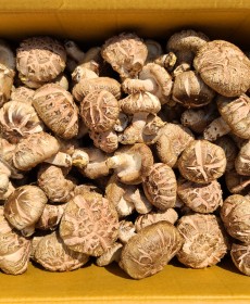 화곡성 “백화” 여주가을표고 1kg