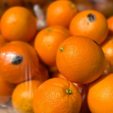 미국산 고당도 오랜지 6개 행사상품