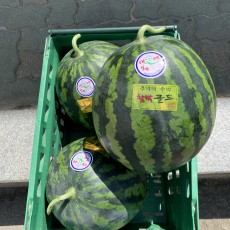 음성 금왕 수박 8kg 맛보장!!