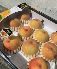 (황귀비) 굵은황도복숭아 10개 4kg 1박스 단단말랑쫀득쫀득~