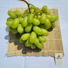 샤인머스켓 3송이 오늘의행사