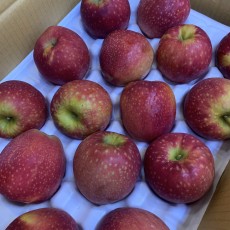 감홍 사과 5개  행사중 엄청맛남