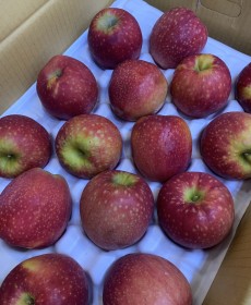 감홍 사과 5개  행사중 엄청맛남