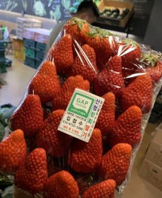 장희 딸기 1박스 2팩 1.8kg 왕왕딸기