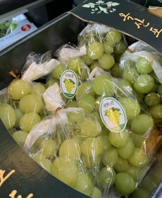 샤인머스켓 4kg 4수 알이엄청커요~